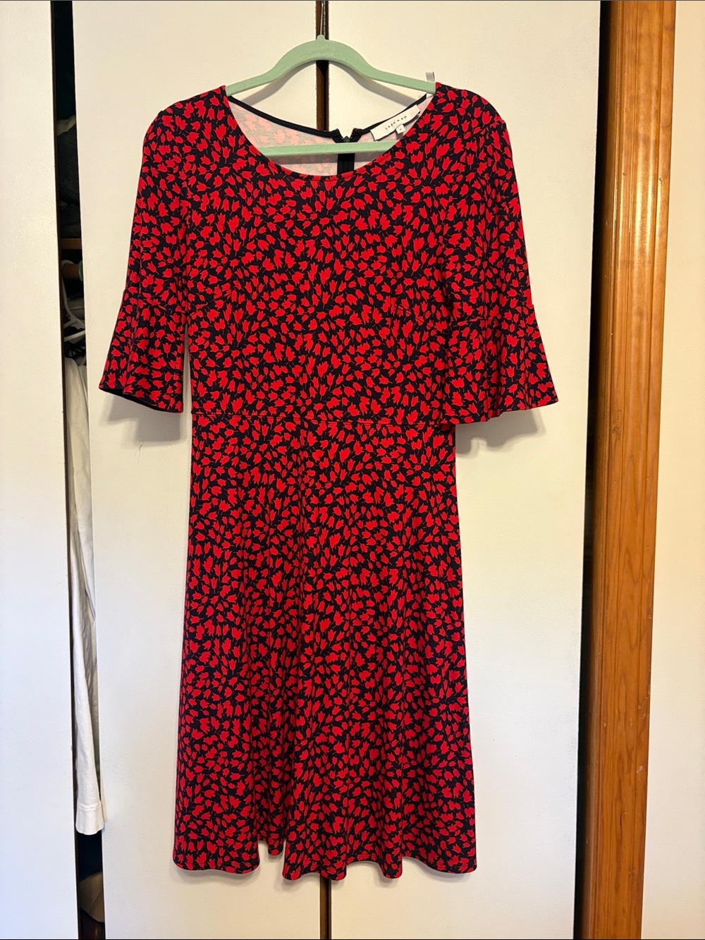 Lark & Ro Red Floral Midi Fit-and-Flare Dress on Black